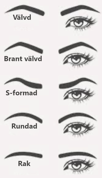 Exempel på former på ögonbryn